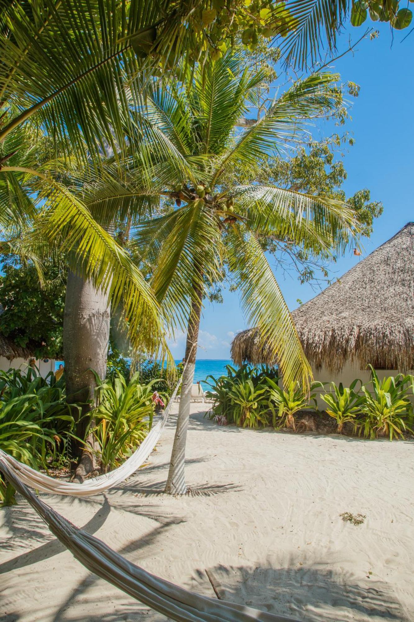 Hotel Isla Del Pirata グランデ島 エクステリア 写真
